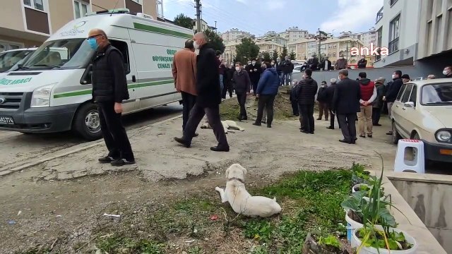 Günlerce hastane kapısında beklediği sahibi hayatını kaybetti... Pamuk onu yalnız bırakmadı; karnını doyurup hep geri geldi
