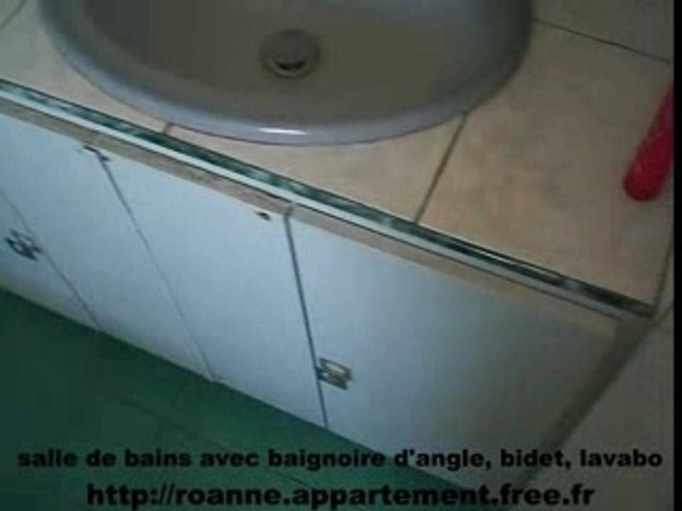 Salle de bains appartement roanne appartement à vendre vendu en gain par zetrader