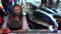 Fishes at Osu assure public of wholesome catch as fishing resumes - The Pulse on Joy News (6-4-21)