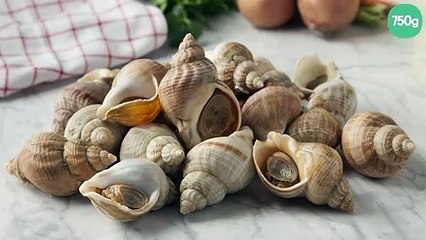 Bien cuire les bulots