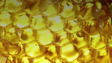 Your Guide To Buying, Cooking, and Baking With Honey