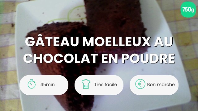 Gâteau moelleux au chocolat en poudre