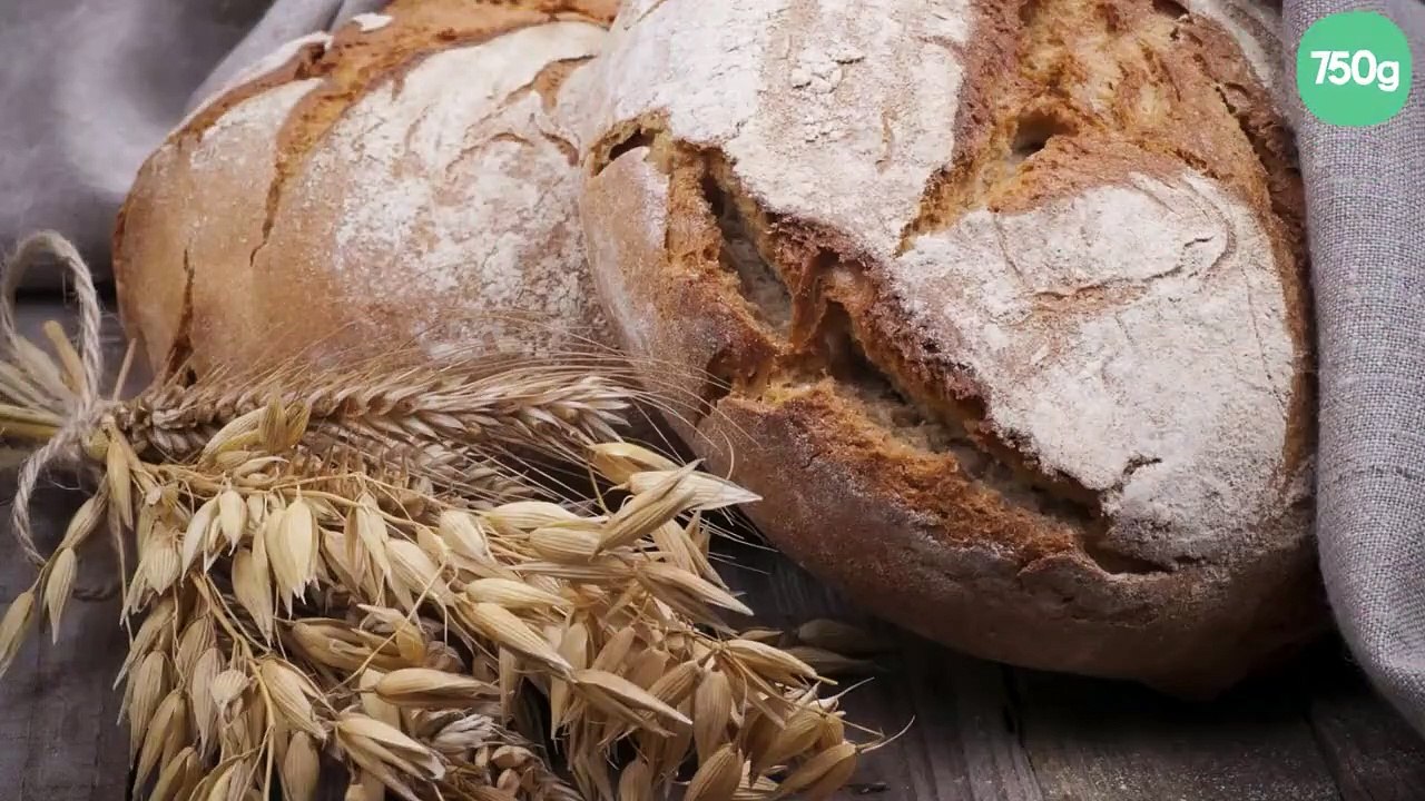 Pain au Companion
