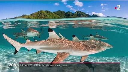 Hawaï : à la découverte de la photographe Renee Capozzola