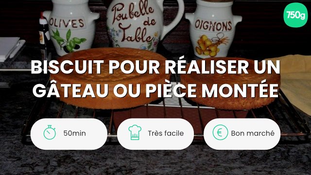 Biscuit pour réaliser un gâteau ou pièce montée