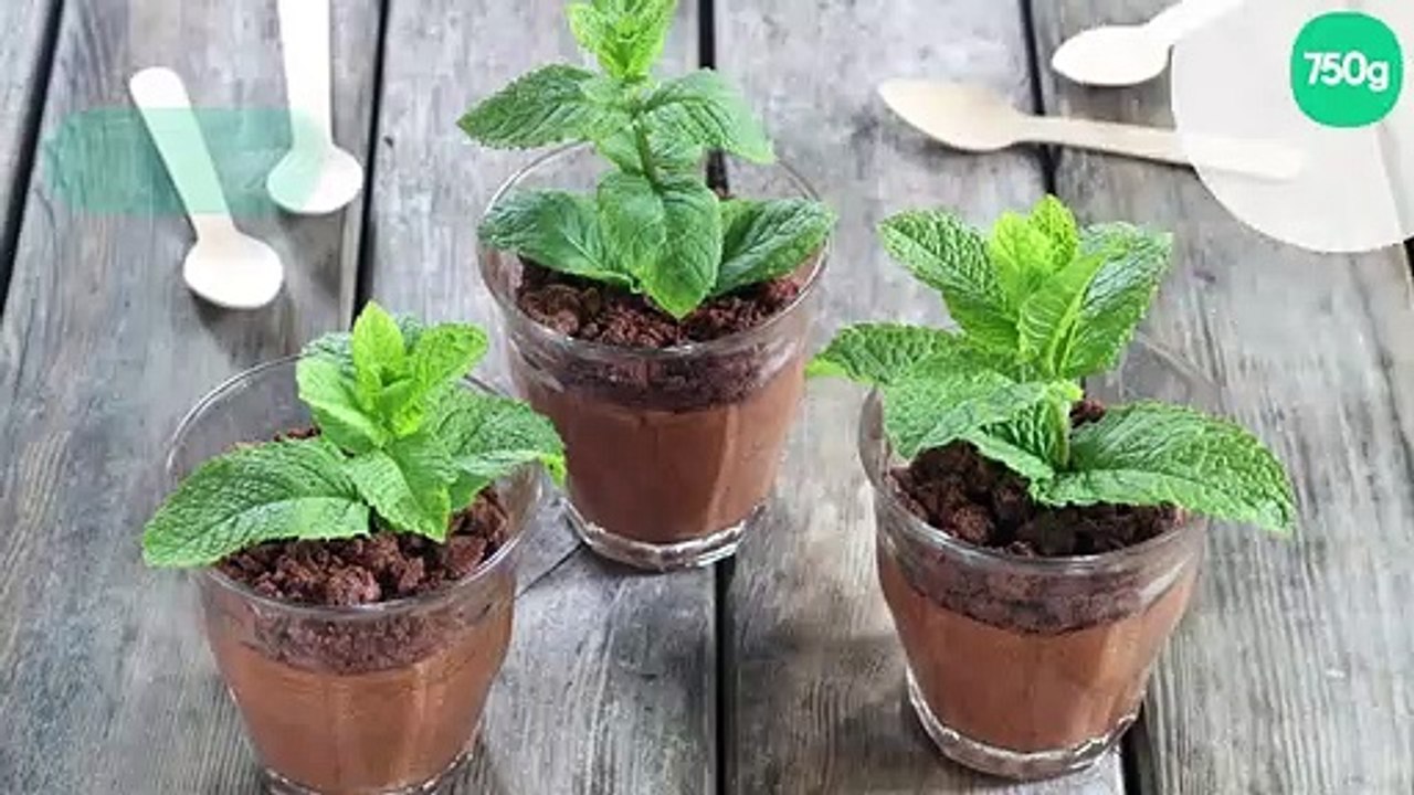 Mousse au chocolat façon pot de fleur