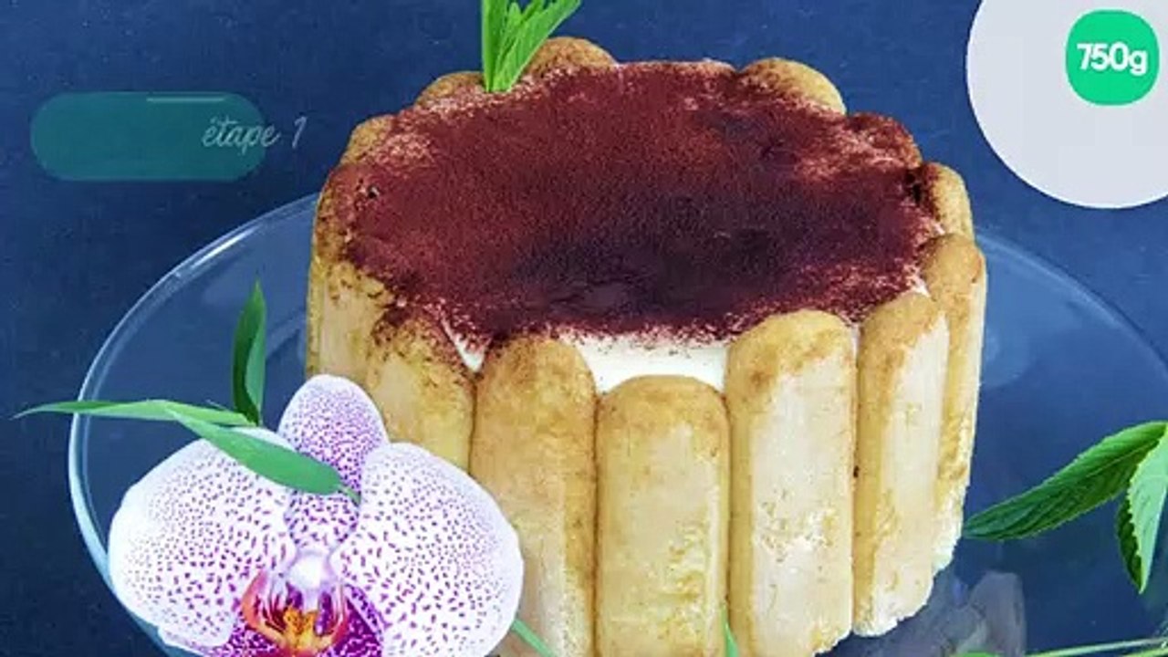 Charlotte tiramisu