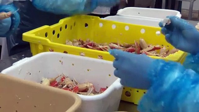 06 avril Topo CC situation Covid Gaspesie archives