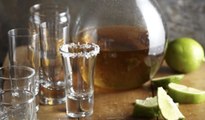 What to Know About Jalisco, Mexico's Premiere Tequila Region