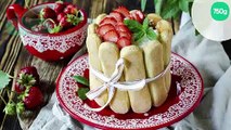 Charlotte aux fraises, sirop de fraises, fromage blanc