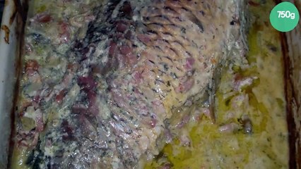 Traditionnelle carpe de Noël allemand