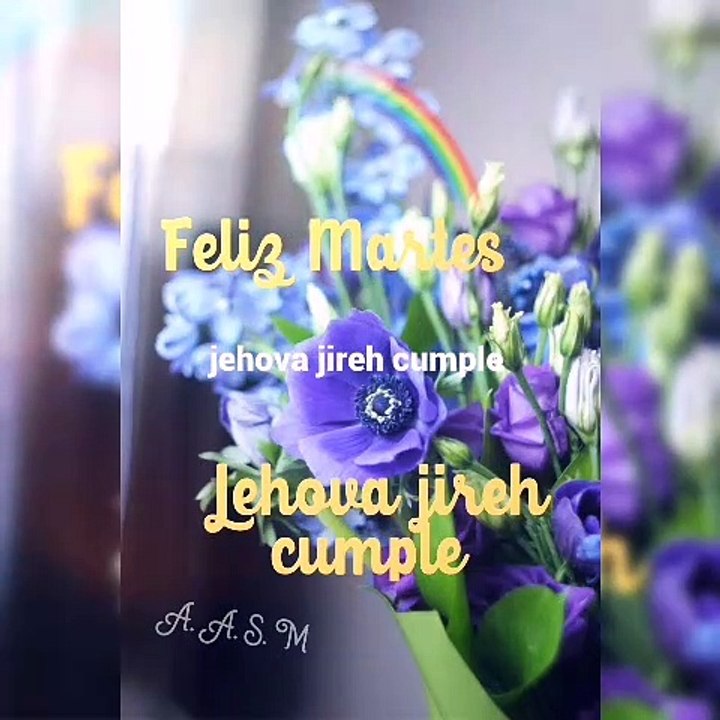 Feliz Martes 
