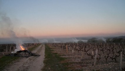 Why one French vineyard owner is lighting fires across his fields