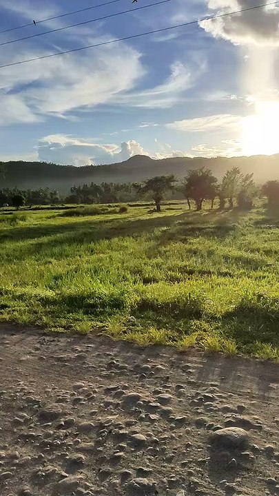 Sunrise