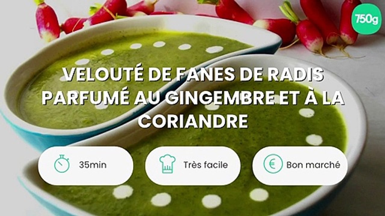 Velouté de fanes de radis parfumé au gingembre et à la coriandre