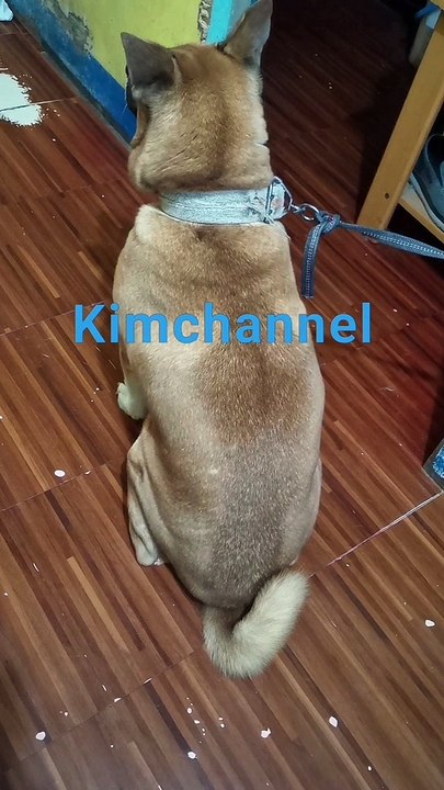 Choco