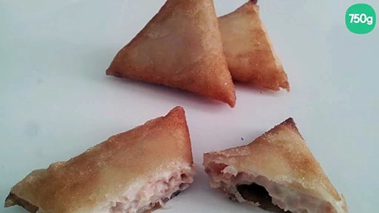 Briques au saumon