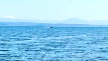 Crystal clear, blue waters over Puget Sound