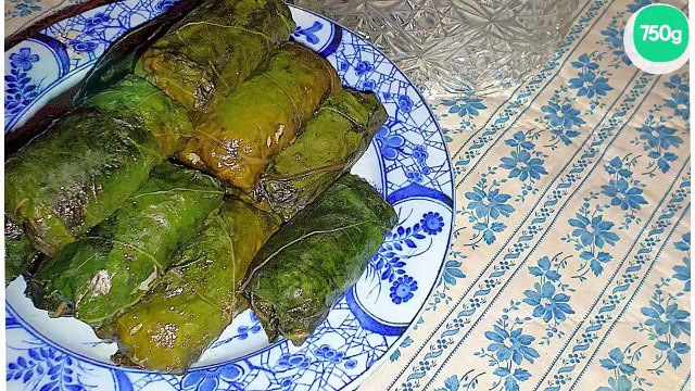 Dolmas aux feuilles de bettes