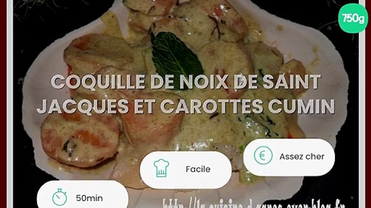 Coquille de noix de saint jacques et carottes cumin