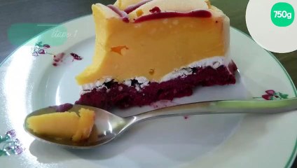 Vacherin glacé mangue- fruits rouges