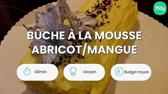Bûche à la mousse abricot/mangue