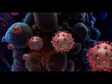 'Double mutant' coronavirus variant is found in California | Moon TV News