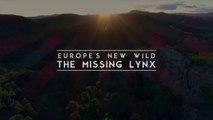 The Missing Lynx • 2021 • Episode 