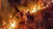 Watch: Uttarakhand battles 40 active forest fires, IAF sends help