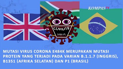 Apa Itu Mutasi Virus Corona E484K 'Eek'?