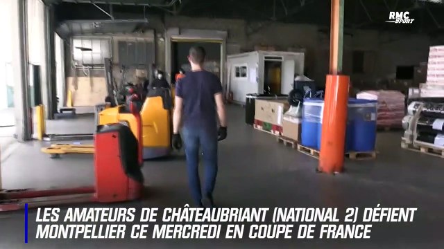 Coupe de France : Les Voltigeurs de Châteaubriant face à la montagne Montpellier