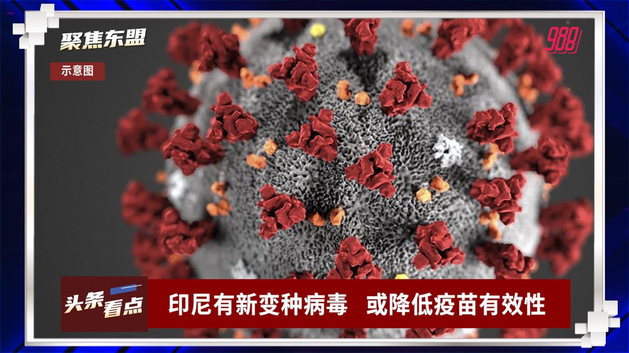 【聚焦东盟 08-04-21】印尼有新变种病毒       或降低疫苗有效性