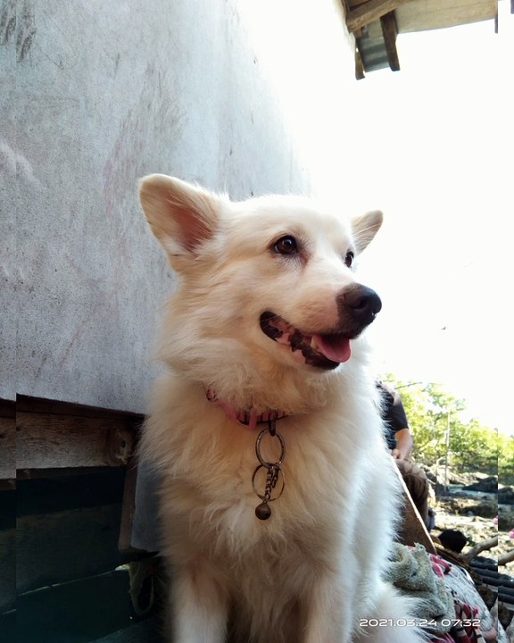 mar