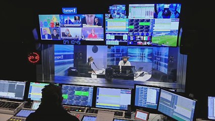 Aux Antilles, l'iguane local est menacé par une espèce importée d'Amérique latine