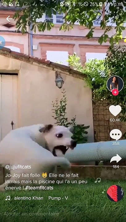 Nouveau Tik Tok L'Atelier De Roxane Et Jujufitcat