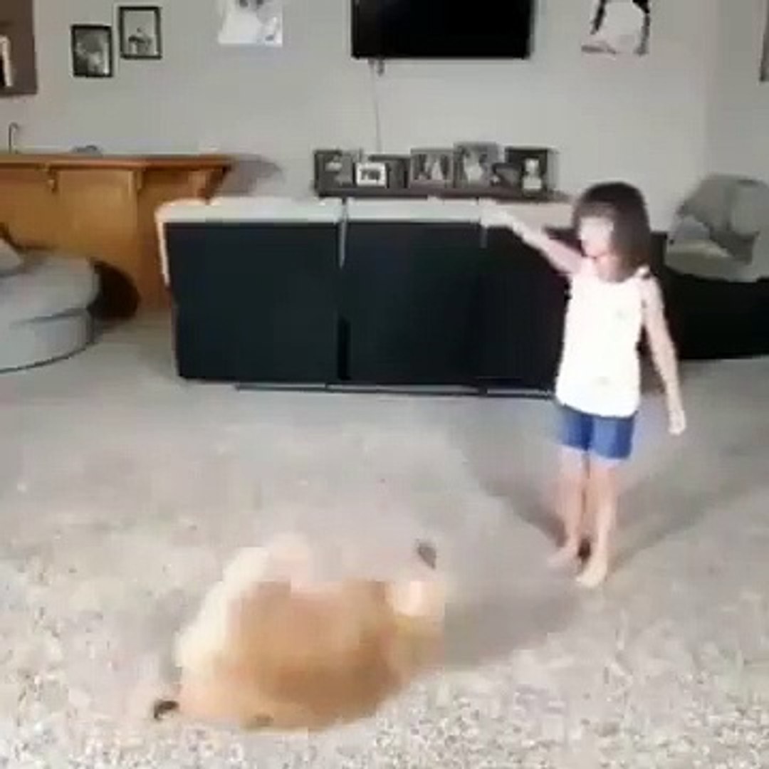 Best videos, Top videos, Viral videos Funny videos no. 47