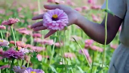 CONEXION CON EL MAS ALLA