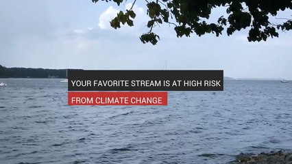 Your Favorite Stream Is At High Risk From Climate Change