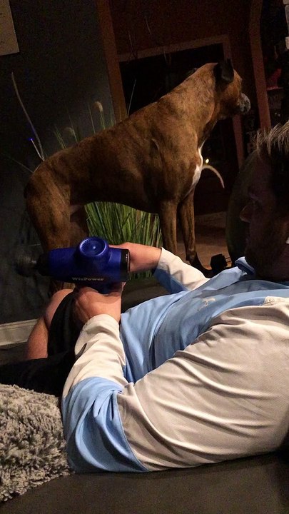 Dog Enjoys Delightful Massage