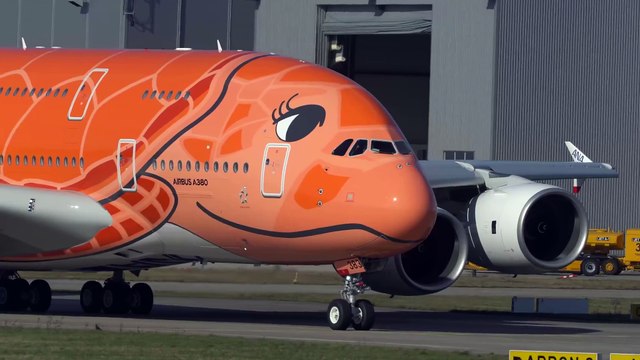 TOP 10 AVIATION MOMENTS of 2020 - AIRBUS A380, HARD LANDINGS, BIRDSTRIKE