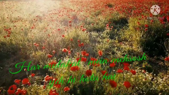 whatsaap status video/koi faryaad/whatsapp video download/whatsaap status song/whatsaap status,indian song,/ video create by aaliya/love status, sad status, romantic status, old status, new status, love songs, sad songs, romance song, romantic song,