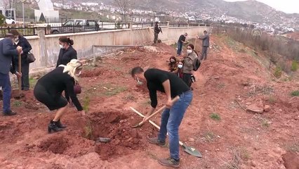 Kadına yönelik şiddetle mücadele kapsamında "Mercan Hatıra Ormanı" oluşturuldu
