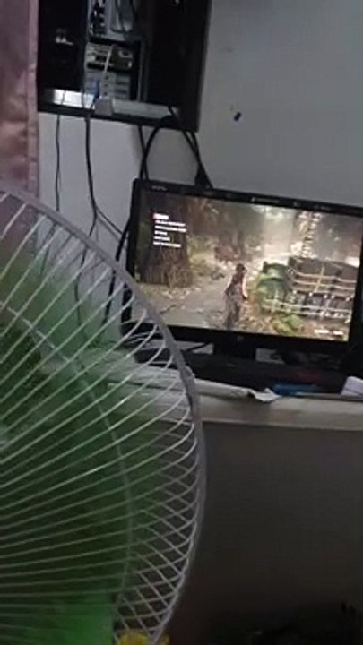 playing pc games
