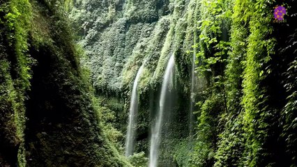 15 Minute Relaxing Calming Music | Study Music | Peaceful Music | Music for Stress Relief