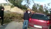 Otomobilin üzerine yıkılan ağaç 3 kişi yaralandı