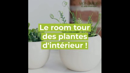 Choisir vos plantes d'intérieur