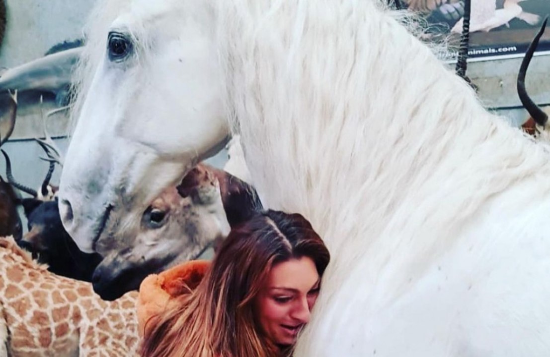 Luisa Zissman has pet horse stuffed