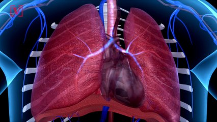 First US Trachea Transplant Brings Hope To COVID-19 Patients