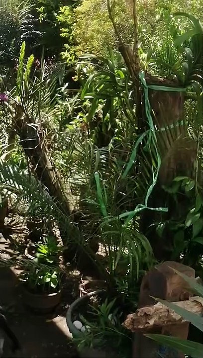 Garden Tour