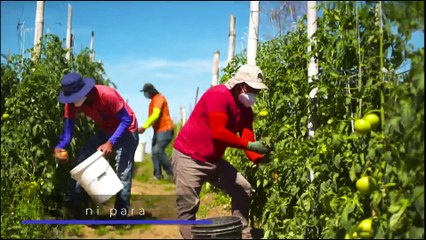 Todo sobre belleza - 10 de abril 2021_